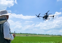 Syngenta tập huấn kỹ thuật, sử dụng drone an toàn, hiệu quả tại ĐBSCL