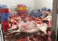Phát hiện cơ sở chuyên xử lý lợn ốm chết ở Vĩnh Phúc