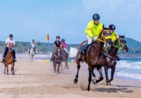 Xin đầu tư trường đua ngựa quốc tế tại huyện Xuyên Mộc rộng 100ha