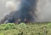 Cháy rừng tràm diện tích 400 ha