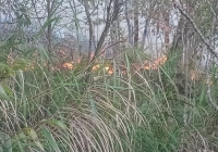 10ha rừng Tây Côn Lĩnh ở Hà Giang bốc cháy trong đêm