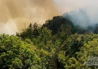 2 người tử vong, 5 người bị thương trong vụ cháy rừng ở Hà Giang