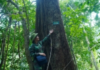 Trợ lực giúp người dân giữ rừng đặc dụng
