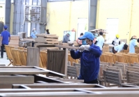 ‘Sinh lộ' của ngành gỗ Việt: [Bài 3] Chủ động nguồn gỗ nguyên liệu từ rừng trồng