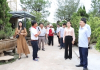 Một làng nghề cây cảnh ở Hà Nội thu hút 200.000 lượt khách du lịch