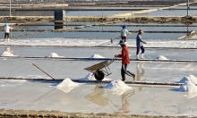 Tập huấn sản xuất muối sạch cho diêm dân