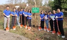 Trồng 1.000 cây hoa ban tri ân mảnh đất Điện Biên Phủ
