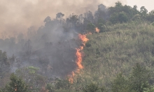 Cháy rừng tại Lai Châu