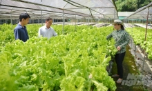 Đông Nam bộ hướng đến phát triển nông nghiệp công nghệ cao, sinh thái, hữu cơ