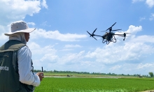Syngenta tập huấn kỹ thuật, sử dụng drone an toàn, hiệu quả tại ĐBSCL