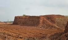 Vụ khai thác đất ‘rúng động’ tại Triệu Sơn: Xử phạt xong, có khởi tố không?