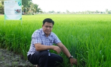 Tập huấn giúp nông dân bớt mông lung về canh tác lúa giảm phát thải