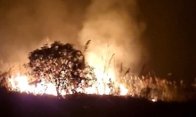 Cháy rừng ở huyện Yên Minh đã được khống chế