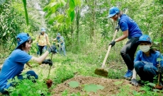 Bản tin Lâm nghiệp ngày 26/4/2024: Vốn xã hội hóa bảo vệ rừng chiếm hơn 40%