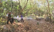 Băng rừng tuần tra 24/24 trong mùa khô để phòng chống cháy