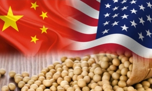 Trung Quốc thay đổi chiến thuật mua ngũ cốc khi thị trường Mỹ bất ổn