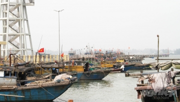 Thừa Thiên - Huế đề xuất đầu tư 350 tỷ đồng cho hạ tầng nghề cá
