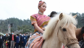 Giải đua ngựa truyền thống Bắc Hà tái hiện nghi thức cầu may