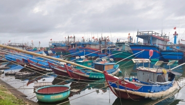 Quảng Trị vẫn còn 381 tàu cá chưa đăng ký, đăng kiểm