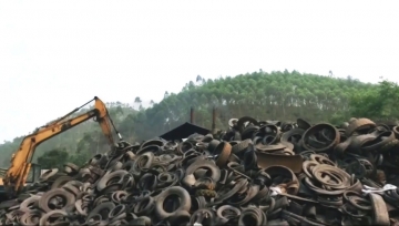 Chuyển đất rừng thành xưởng lốp, một nông dân bị phạt hơn 238 triệu đồng