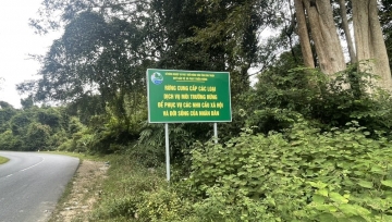 Quỹ Bảo vệ và Phát triển rừng Bình Thuận sẵn sàng tiếp cận thị trường carbon