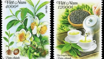 Cây chè Việt Nam lên tem bưu chính