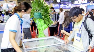 Thị trường Nhật chuộng tôm sú chế biến của Việt Nam