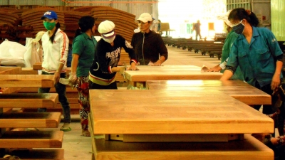 Ngành gỗ Bình Định xoay xở trước khó khăn