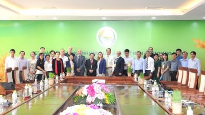 EU tài trợ Việt Nam chuyển đổi các hệ thống nông nghiệp sinh thái thông minh