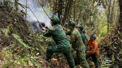 Chủ tịch UBND cấp tỉnh chịu trách nhiệm nếu cháy rừng diện rộng