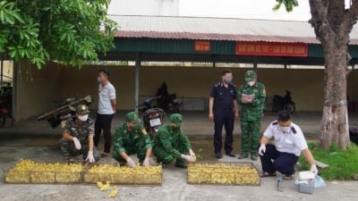 Lạng Sơn duy trì 2 tổ kiểm tra liên ngành tại biên giới