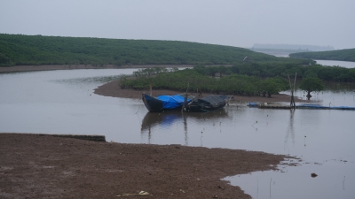 Nam Định yêu cầu khắc phục sự cố 30ha rừng ngập mặn… khát nước