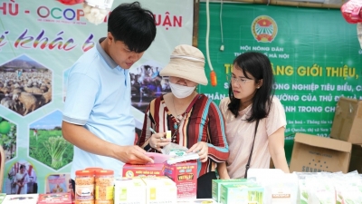 60 gian hàng OCOP tham dự tuần hàng giới thiệu nông sản thành phố Hà Nội