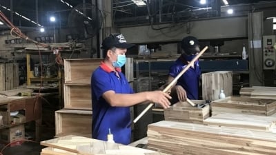 Vietnamese wooden furniture dominates in the United States