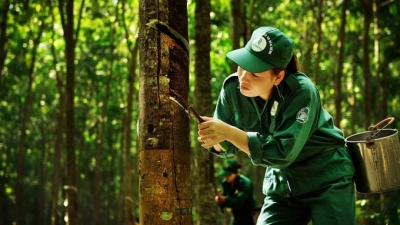60% of rubber area achieved management certification by 2030