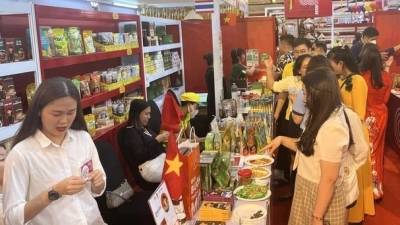 Vietnamese goods exports to Europe must be green and sustainable