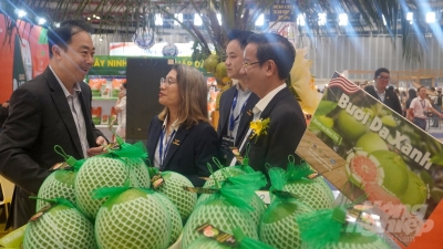 400 doanh nghiệp Việt tiêu biểu tìm cơ hội mở rộng thị trường xuất khẩu