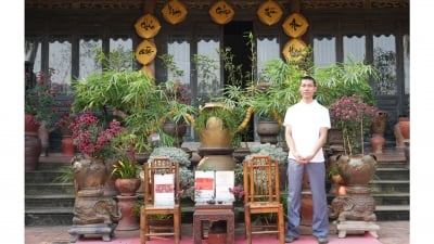 Chàng trai 9x ở Bắc Giang thành công nhờ trồng tre Bonsai