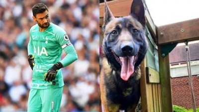 Đội trưởng Tottenham chi gần nửa tỷ đồng mua chó giữ nhà