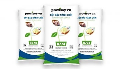 PROVISOY™ – Giải pháp dinh dưỡng chuyên sâu cho sức khỏe đường ruột heo