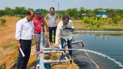 Đông Nam bộ lắp đặt hệ thống tưới nước tiết kiệm để ứng phó El Nino