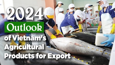 Tuna struggles to restore export turnover in 2023