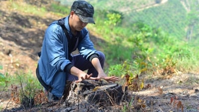 Rừng ở dự án du lịch sinh thái Đại Ninh tiếp tục bị tàn phá