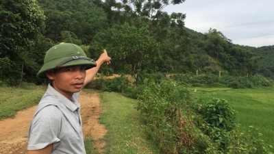 Trả đất nông lâm trường ở Phú Thọ: Bộ 'vẽ' một đường, tỉnh 'đi' một nẻo