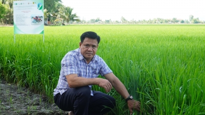 Tập huấn giúp nông dân bớt mông lung về canh tác lúa giảm phát thải