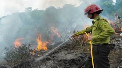 Vườn Quốc gia Phong Nha - Kẻ Bàng phòng chống cháy rừng