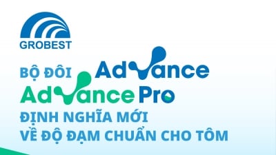 Bộ đôi Advance và Advance Pro: Định nghĩa mới về độ đạm chuẩn cho tôm