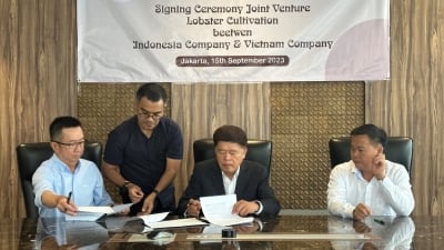 Tổng hội NN-PTNT hỗ trợ doanh nghiệp Hợp tác đầu tư nuôi tôm hùm tại Indonesia