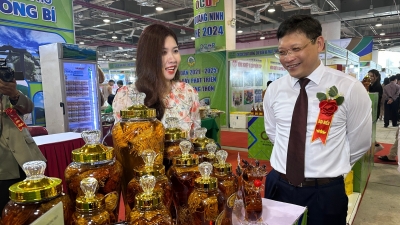 Hội chợ OCOP Quảng Ninh - Hè 2024 có trên 200 gian hàng