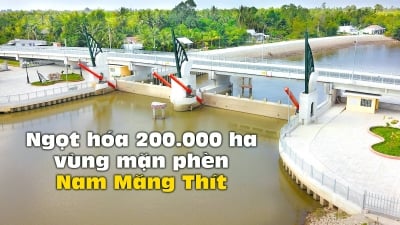 Ngọt hóa 200.000ha vùng mặn phèn Nam Măng Thít
